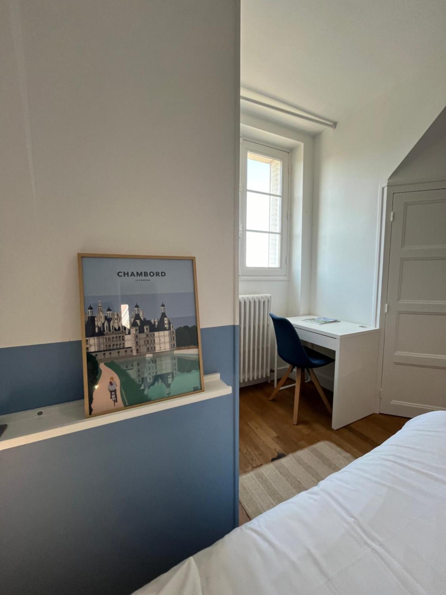 Le Wilson - Vue Imprenable Sur La Loire Et Le Chateau De Blois Exteriér fotografie