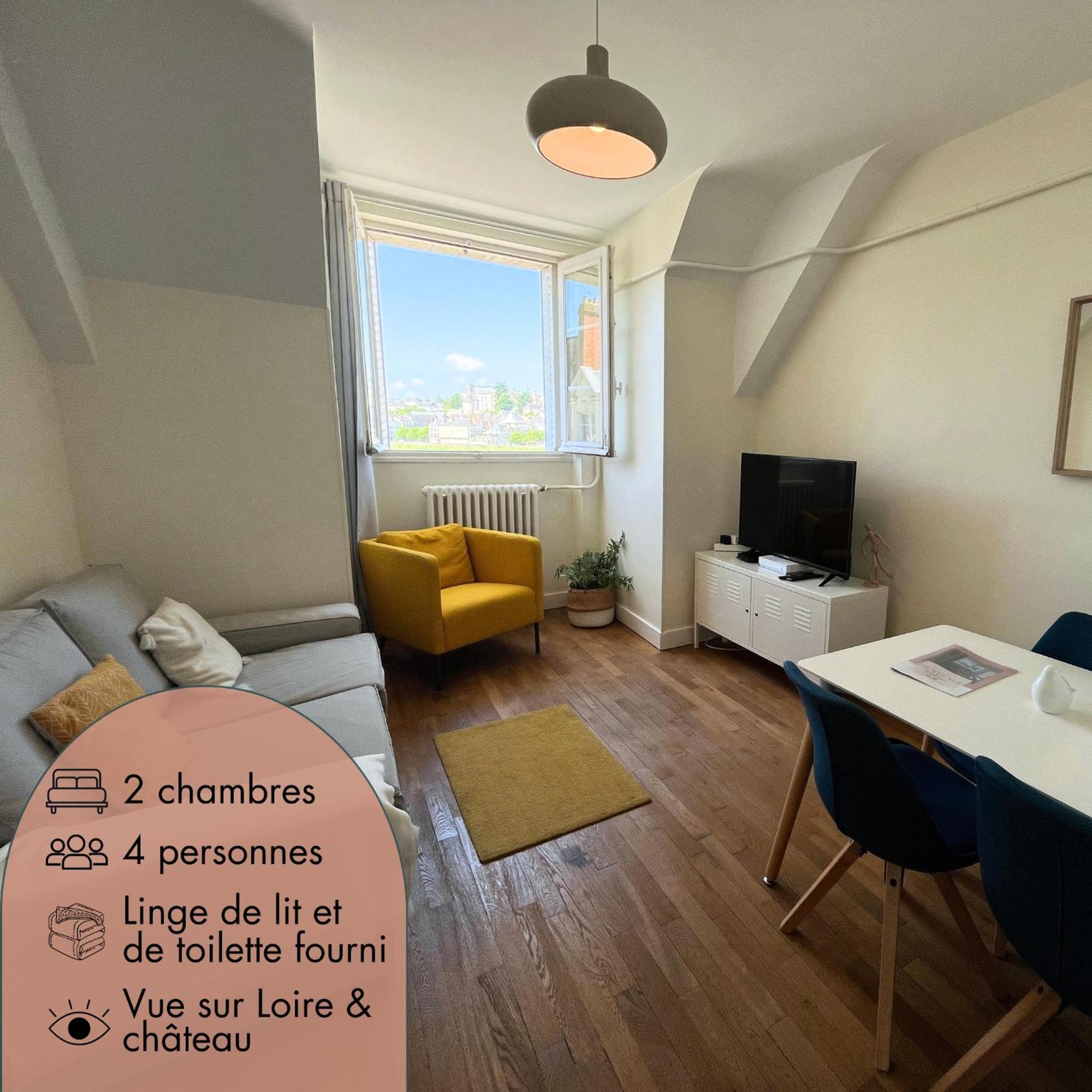 Le Wilson - Vue Imprenable Sur La Loire Et Le Chateau De Blois Exteriér fotografie